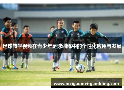 足球教学视频在青少年足球训练中的个性化应用与发展